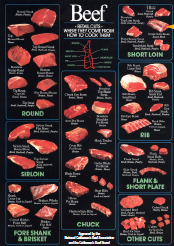 牛肉零售商指南PDF png