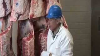 USDA牛肉分級