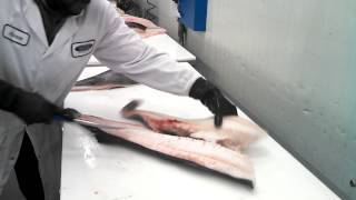 菲力黑鱈魚又名Sablefish